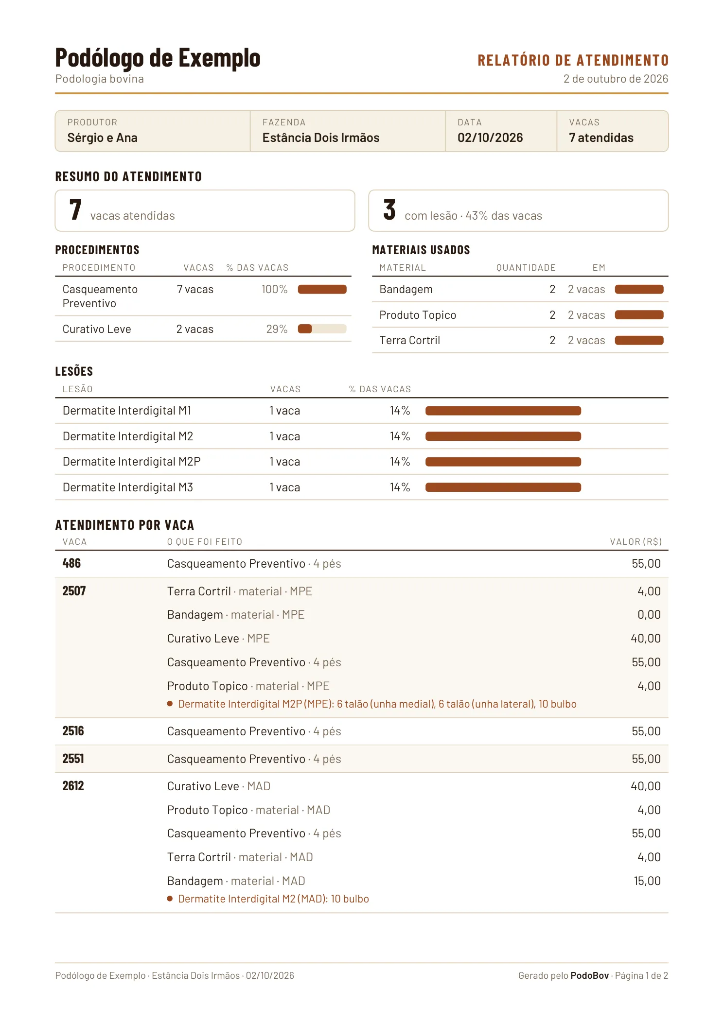Página 1 do relatório em PDF: resumo do atendimento, lesões, procedimentos, materiais e o que foi feito em cada vaca